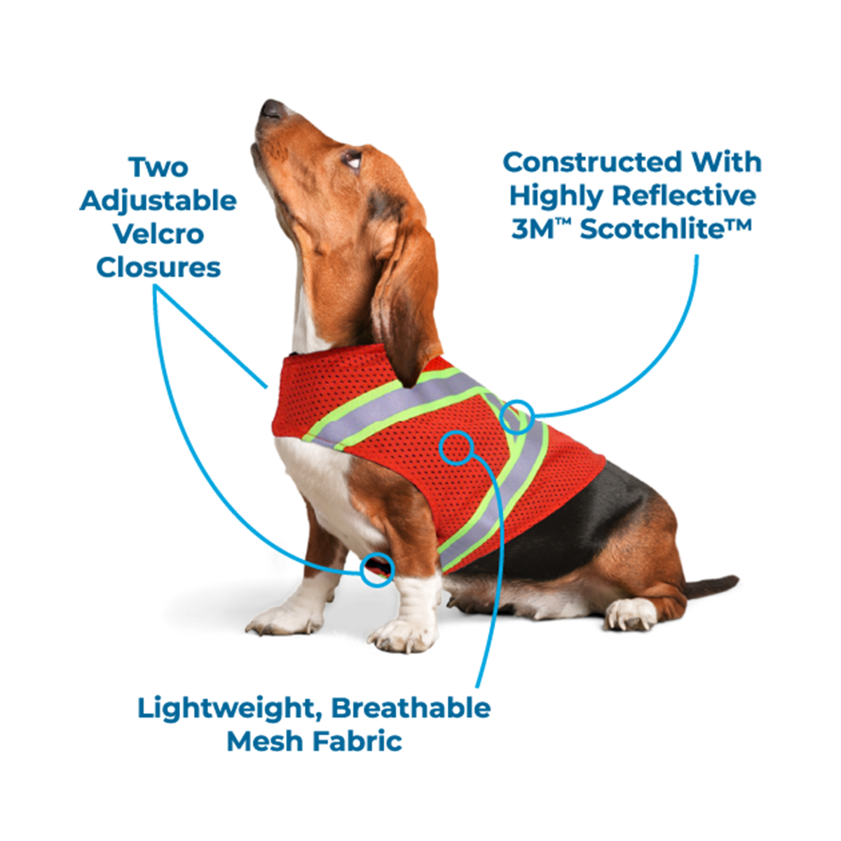 Velcro hot sale dog vest