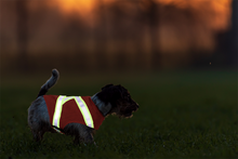 Load image into Gallery viewer, 3M™ High Visibility Dog Vest
