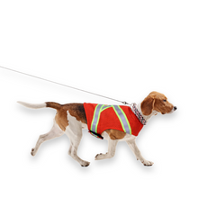 Load image into Gallery viewer, 3M™ High Visibility Dog Vest

